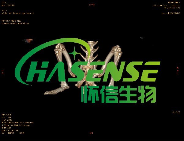 小動(dòng)物MicroCT